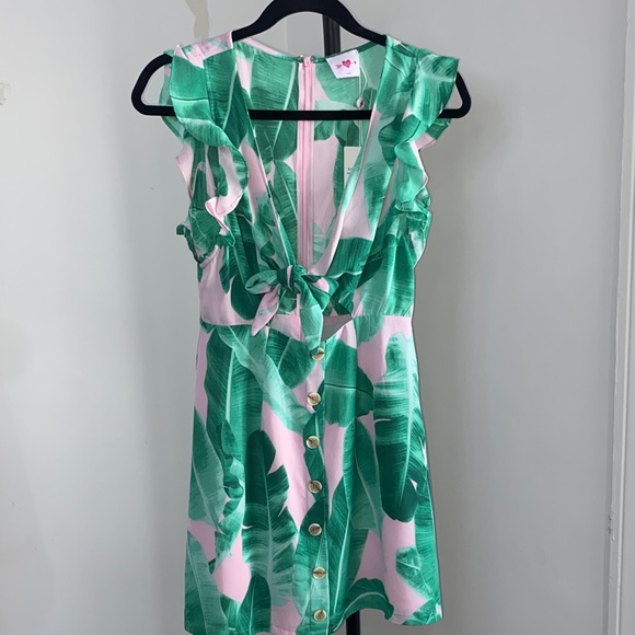 Buddy Love Dresses & Skirts - Buddy Love Green and Pink Leaf Print Dress
